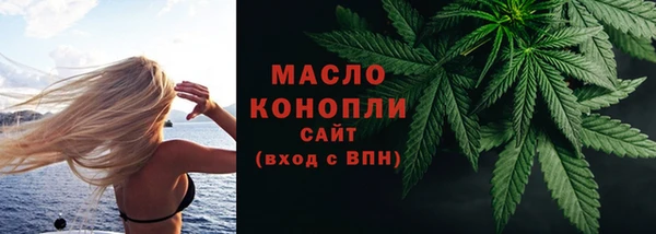 ГАЛЛЮЦИНОГЕННЫЕ ГРИБЫ Ельня