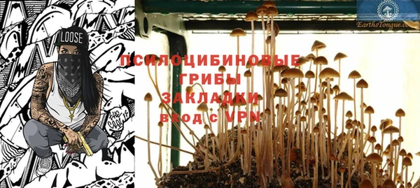 ГАЛЛЮЦИНОГЕННЫЕ ГРИБЫ Ельня