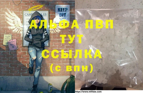 ГАЛЛЮЦИНОГЕННЫЕ ГРИБЫ Ельня