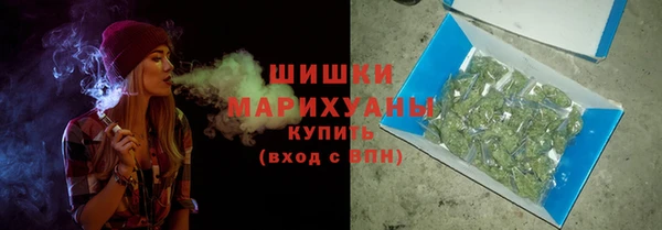 дживик Елизово
