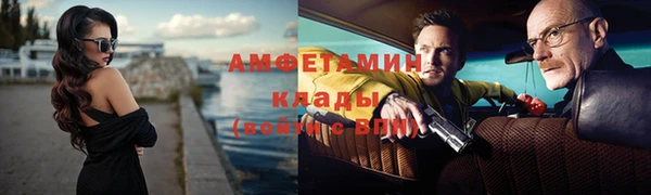ГАЛЛЮЦИНОГЕННЫЕ ГРИБЫ Ельня