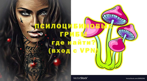 ГАЛЛЮЦИНОГЕННЫЕ ГРИБЫ Ельня