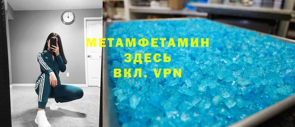 ГАЛЛЮЦИНОГЕННЫЕ ГРИБЫ Ельня