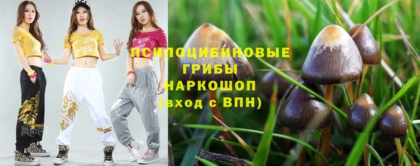 дживик Елизово