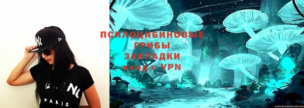 ГАЛЛЮЦИНОГЕННЫЕ ГРИБЫ Ельня